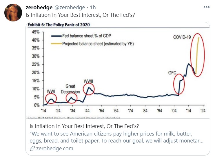 2020 policy panic_tweet