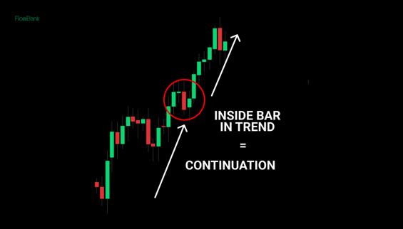 Forex Trading Graph