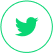 social-twitter