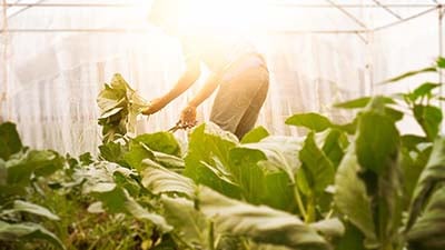 shutterstock_444274159