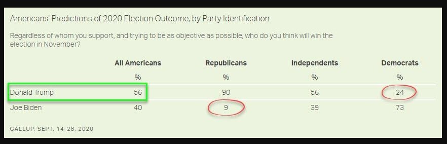 Gallup Survey: American's perception of 2020 election outcome 