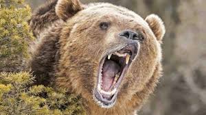 The bear case for a vaccine