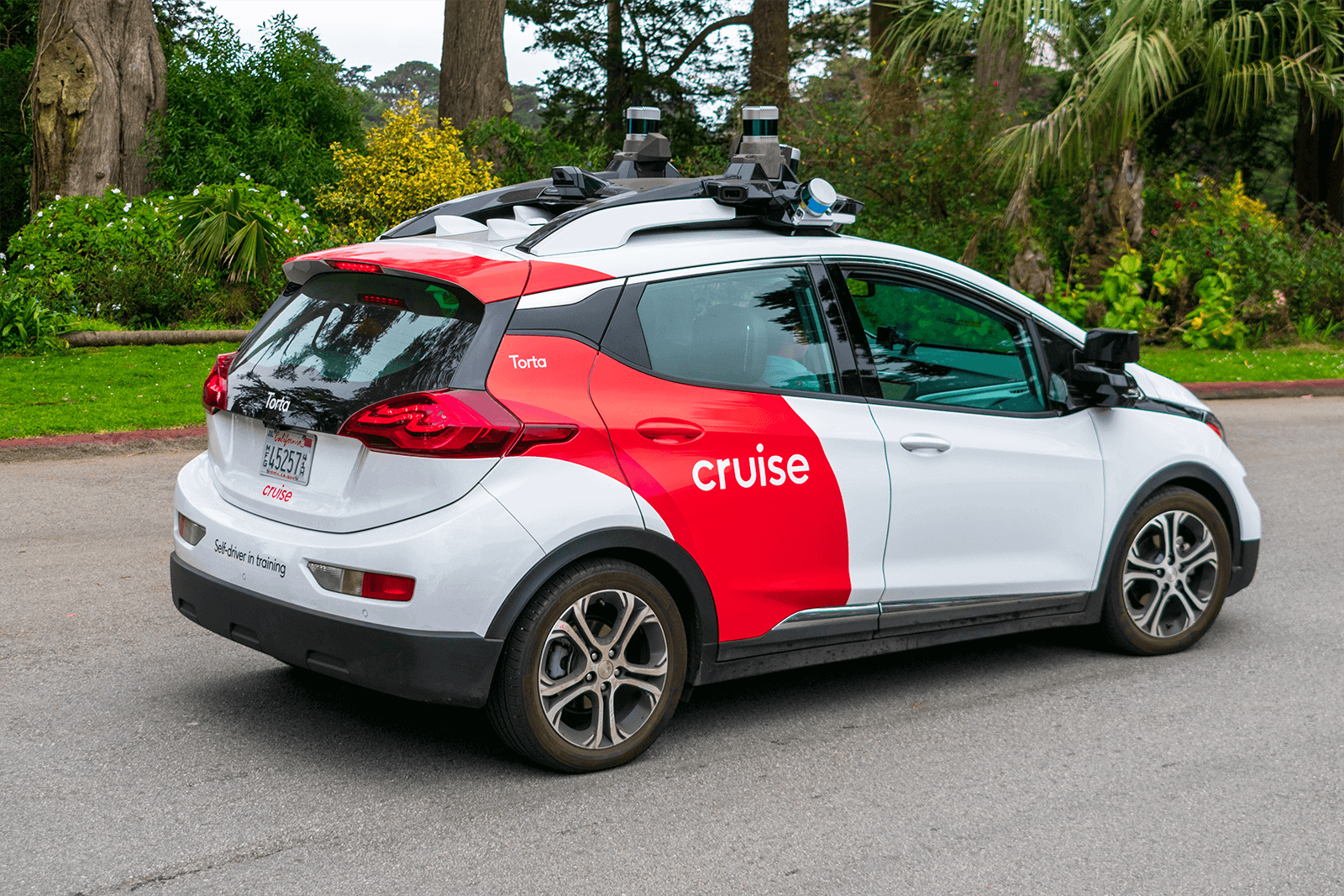 Cruise car